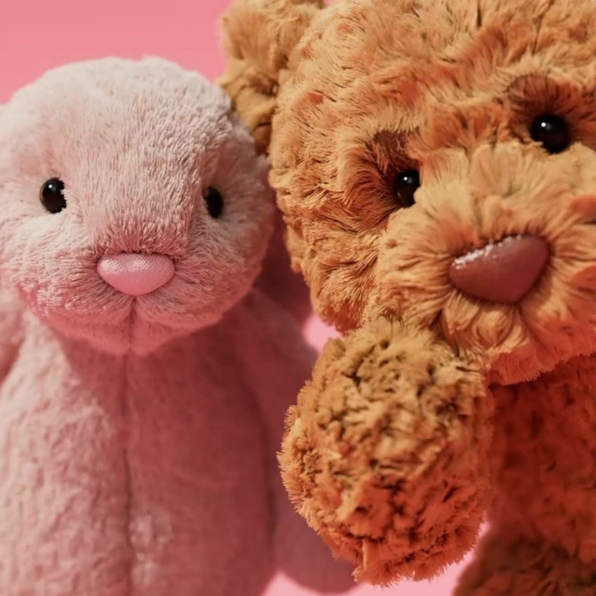 BEARS